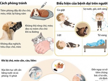 benh dai va cach phong tranh